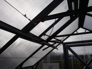 Augalu parišimo trosai