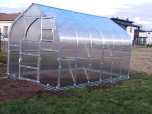 Šiltnamiis standart klasika