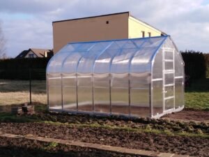 Šiltnamiis standart klasika šonas