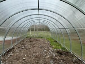 Šiltnamio Area vidus