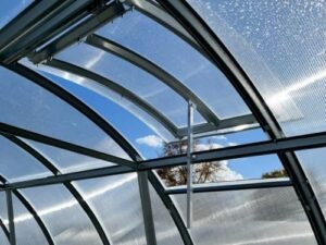 Stoglangis Gaspadorius