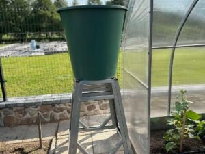 Talpos paaukstinimas